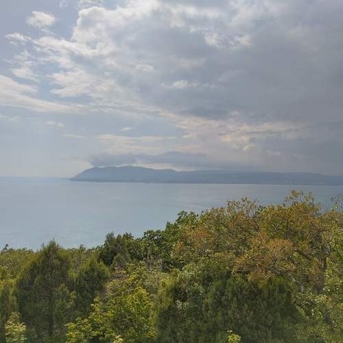 Photo #13743340