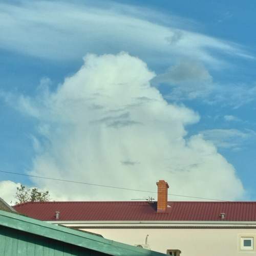 Photo #13743341