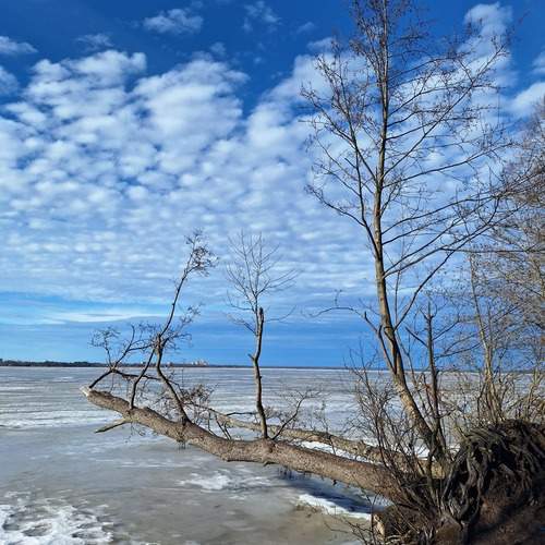 Photo #13743344