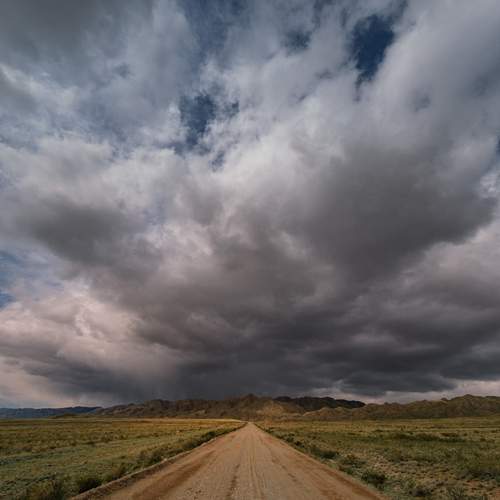 Photo #13743350