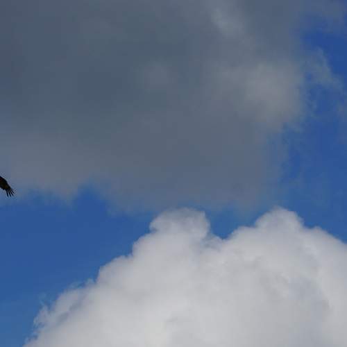 Photo #13743371