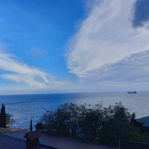 Photo #13743386