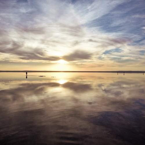 Photo #13743388