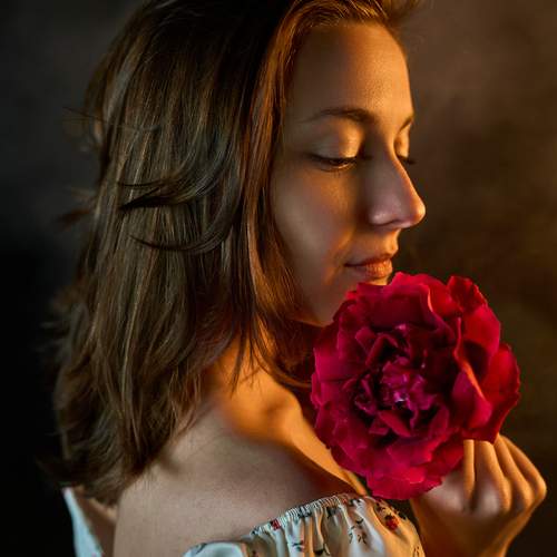 Wild rose