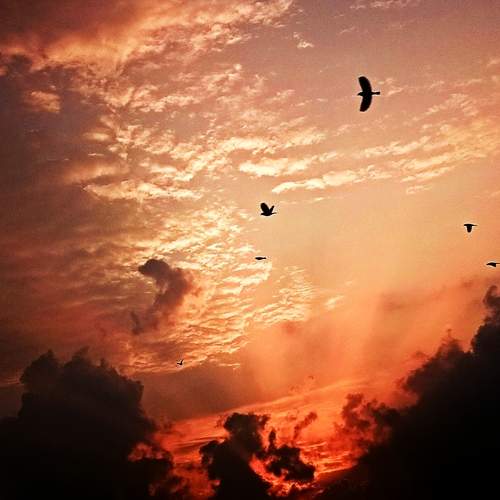 Photo #13743480