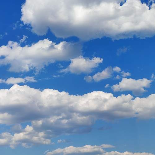 Photo #13743485