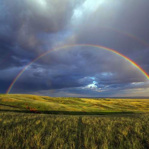 Photo #13743537