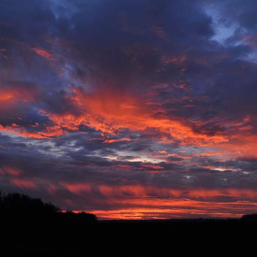 Photo #13743558