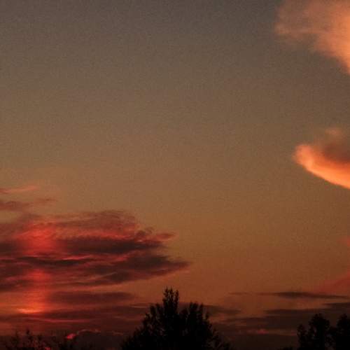 Photo #13743590