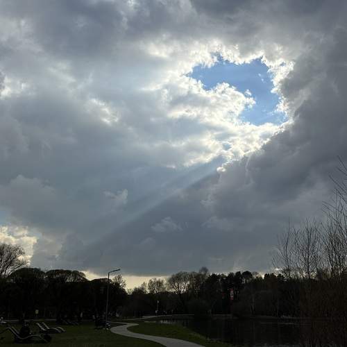 Photo #13743646
