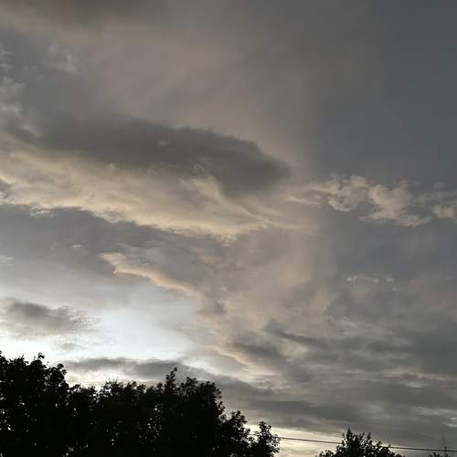 Photo #13743647