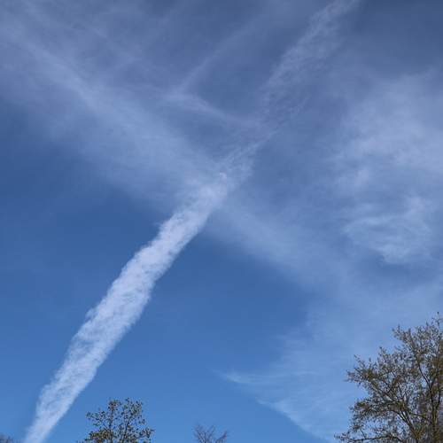 Photo #13743648