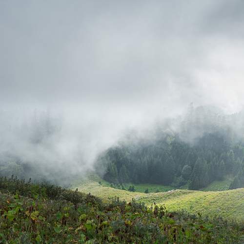Photo #13743652