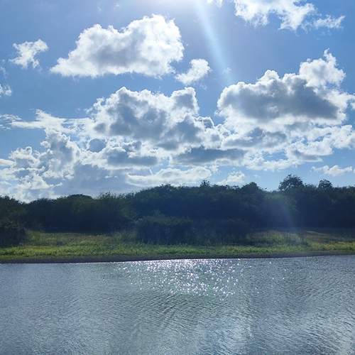 Photo #13743663