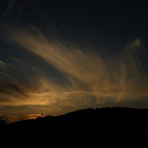 Photo #13743672