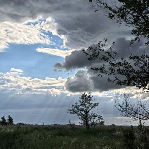 Photo #13743694