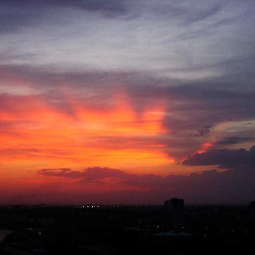 Photo #13743731