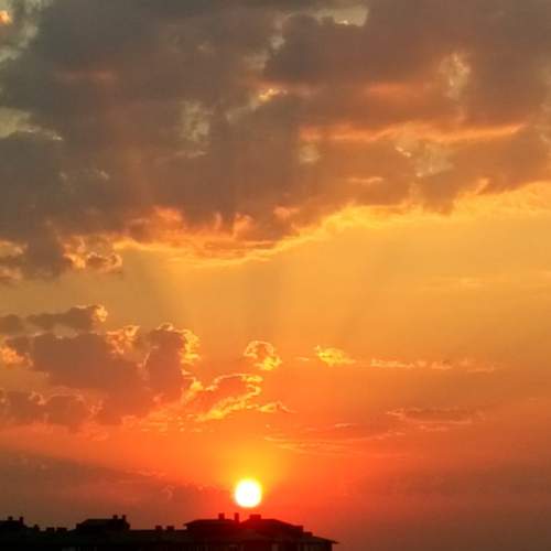 Photo #13743733