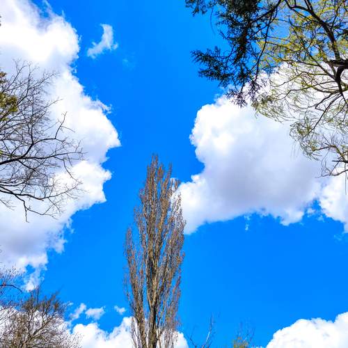 Photo #13743788