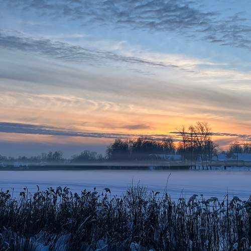 Photo #13743799