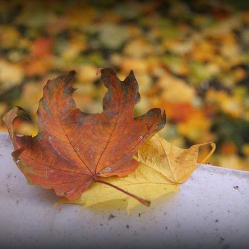 Photo #13743808