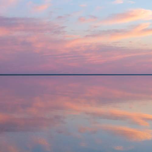 Photo #13743829
