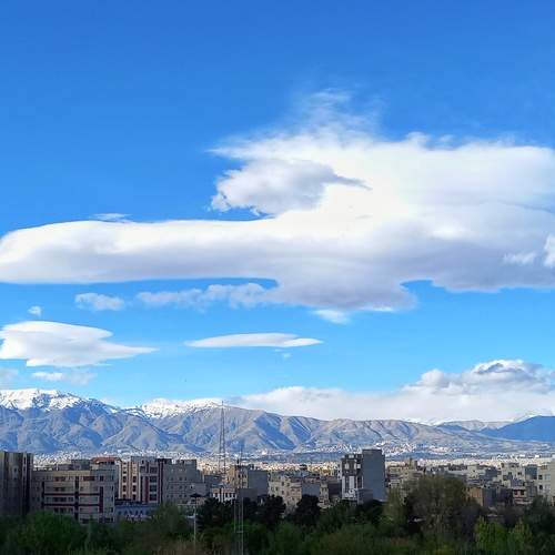 Photo #13743830
