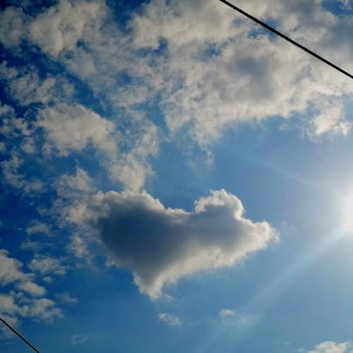 Photo #13743840