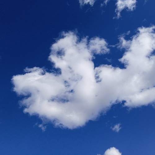 Photo #13743936