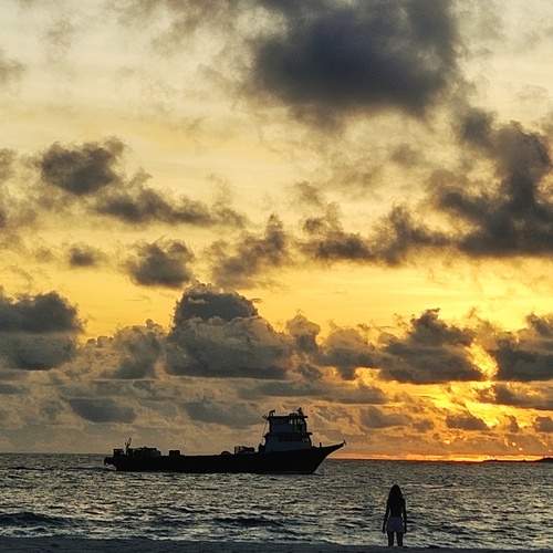 Photo #13743971