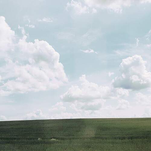 Photo #13743973