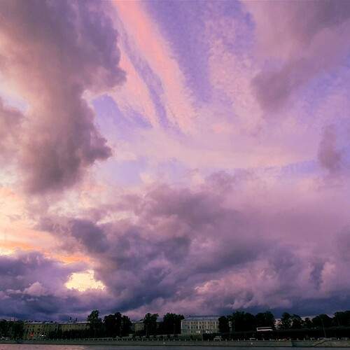 Photo #13743974
