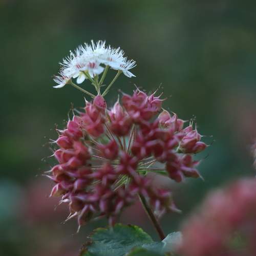Photo #13743980