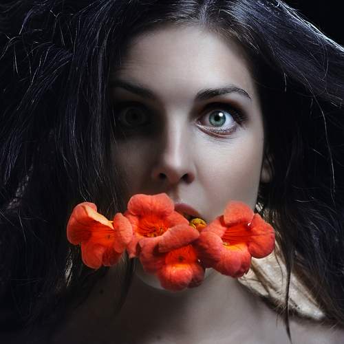 Photo #13744019