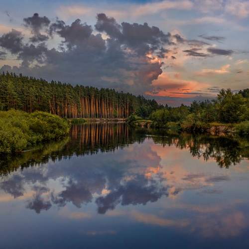 Photo #13744041
