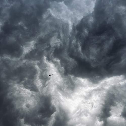 Photo #13744042