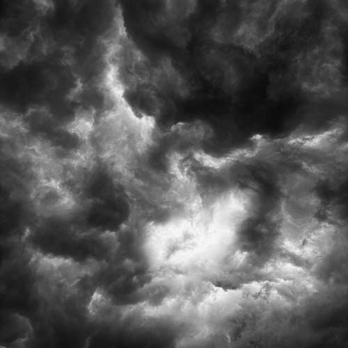 Photo #13744045