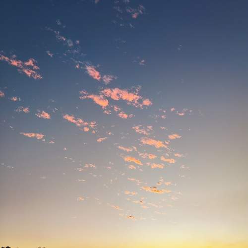 Photo #13744098