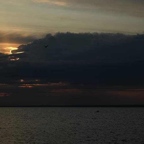 Photo #13744195