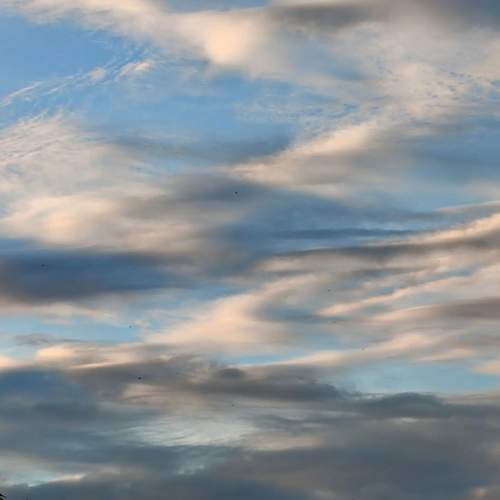 Photo #13744211