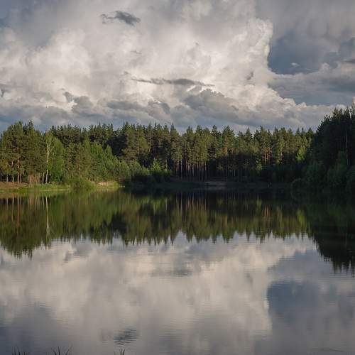 Photo #13744220