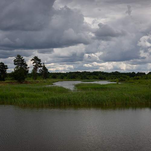 Photo #13744221