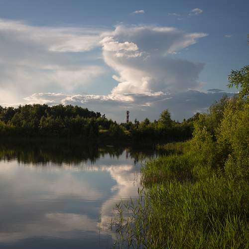 Photo #13744228