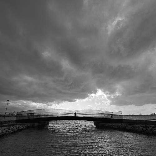 Photo #13744232
