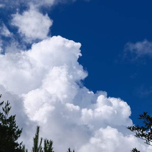 Photo #13744235