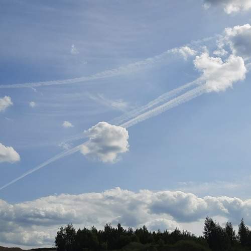 Photo #13744276