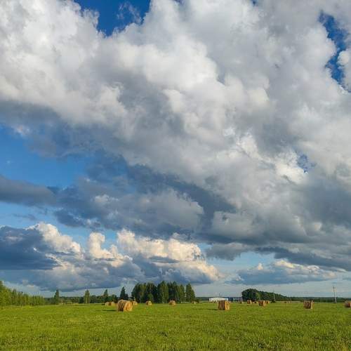 Photo #13744306