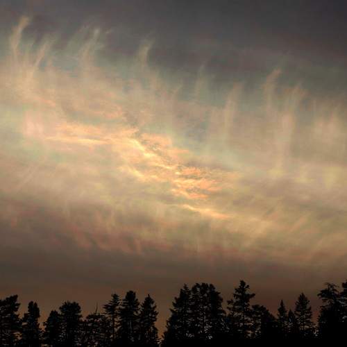 Photo #13744339