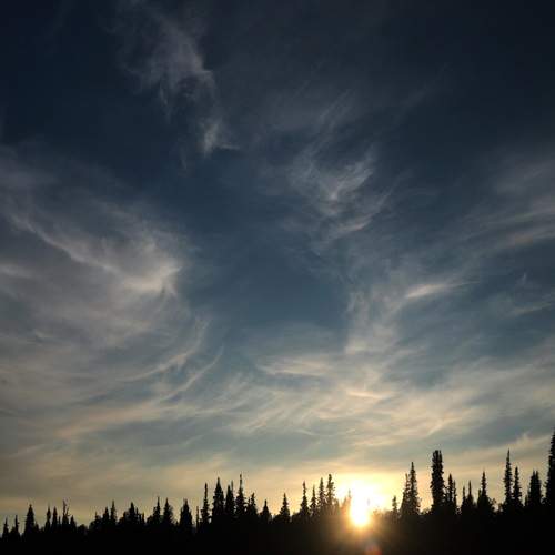 Photo #13744340