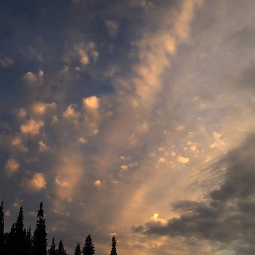 Photo #13744344
